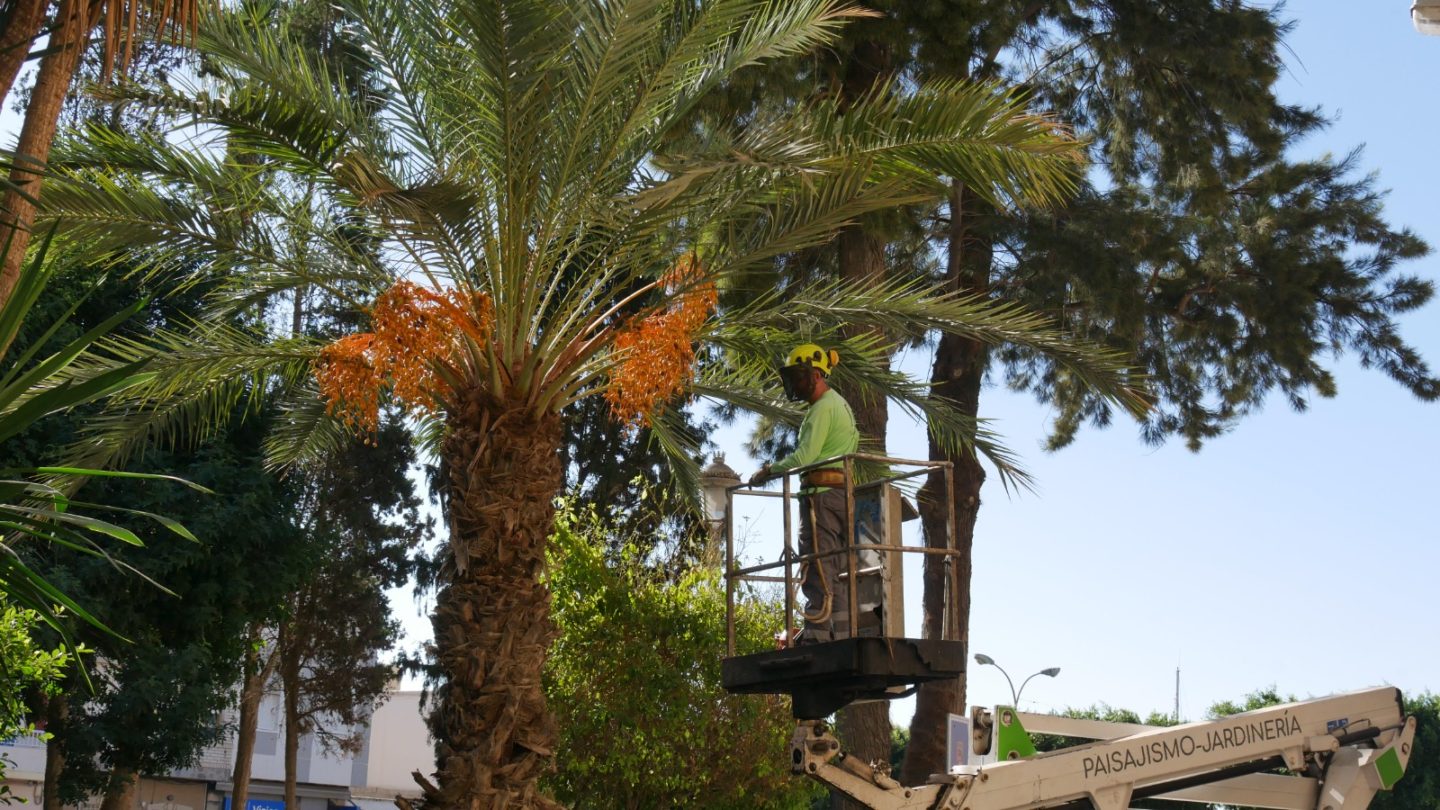 El Ayuntamiento de Adra intensifica el cuidado de parques y jardines del centro urbano y barriadas con 170.000 euros