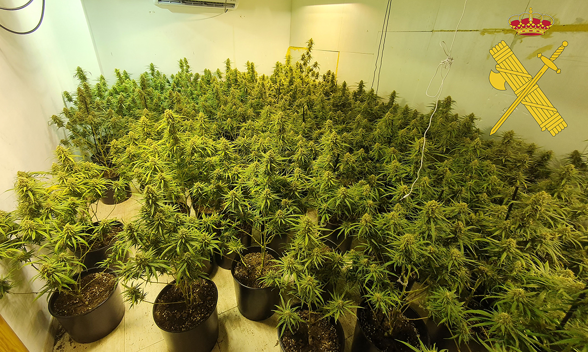 La Guardia Civil detiene ‘in fraganti’ a los dos responsables de un cultivo indoor de marihuana en un residencial de Adra