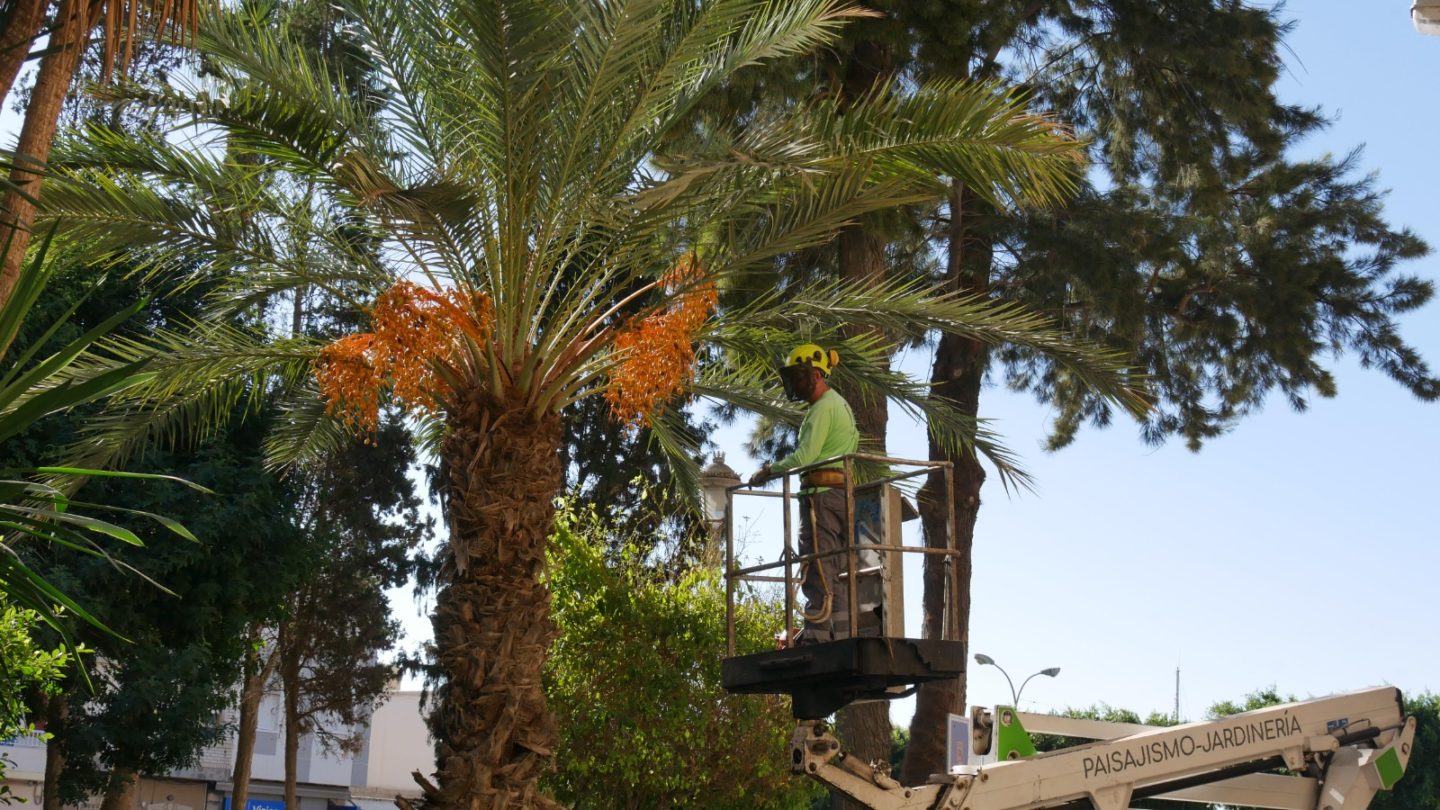 Adra refuerza el mantenimiento de jardines y zonas verdes con una inversión de 190.000 euros