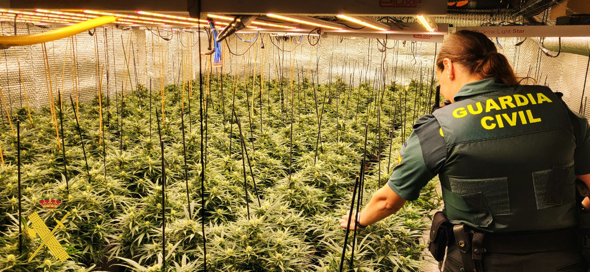 Intervenida en Adra una plantación de marihuana con tecnología valorada en cerca de 40.000 euros